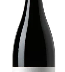 Arroyo Del Tórtolas 2020