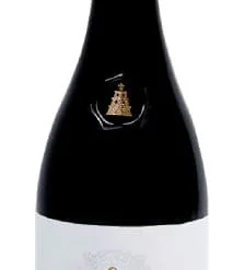 Gil Pejenaute Tabuca 2021