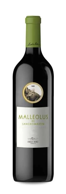 Malleolus De Sanchomartín 2019