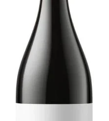 Matías Michelini GarnaCHE 2019