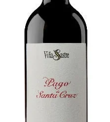 Hermanos Sastre Pago De Santa Cruz 2020