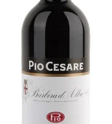 Pio Cesare Barbera D'Alba 2020